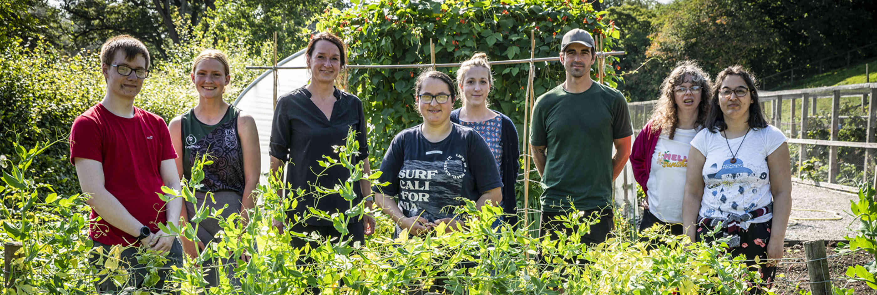 Work in the garden banner