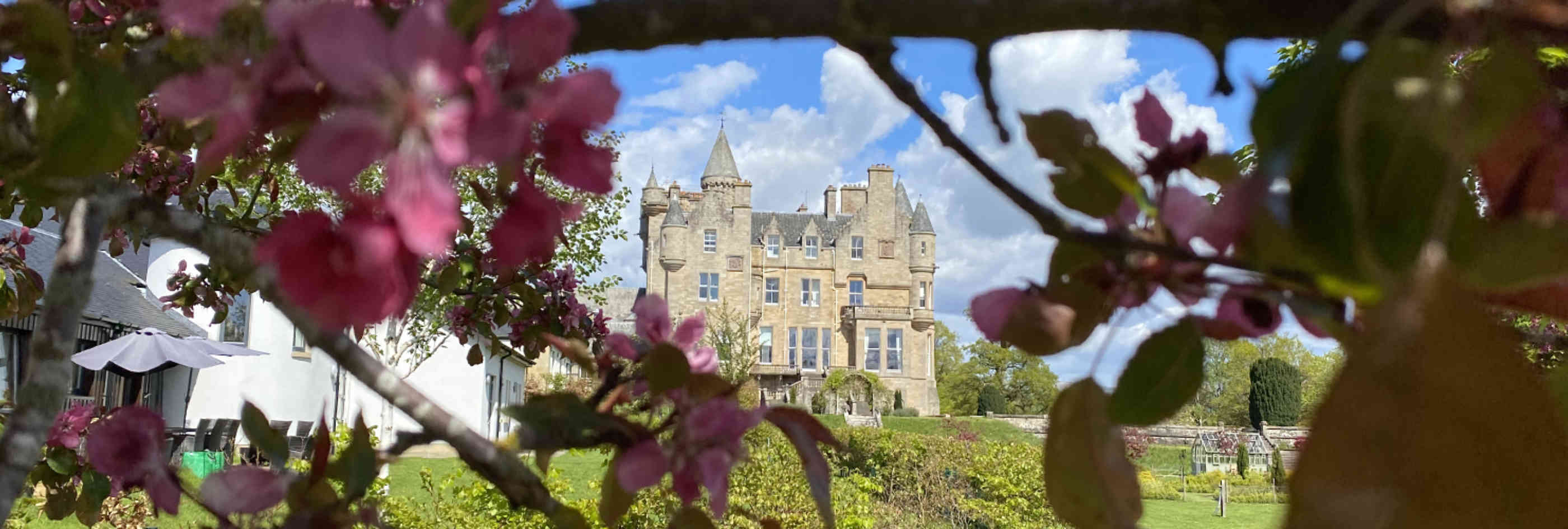Castle flowers banner