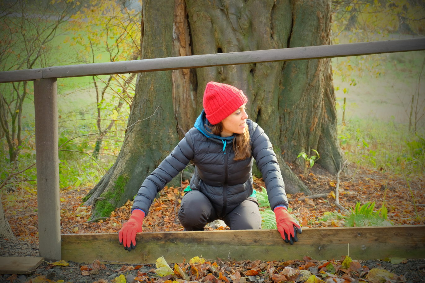 Big Thank You to the team from Scottish Power - Big Thank You to the team from Scottish Power